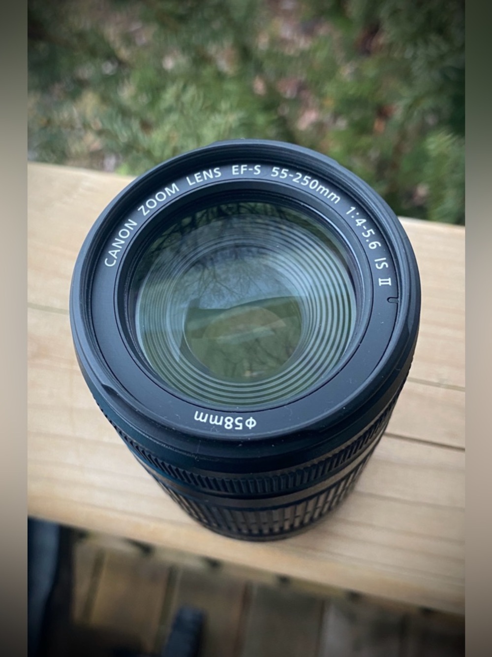 Canon Zoom Lens EF-S 55-250mm